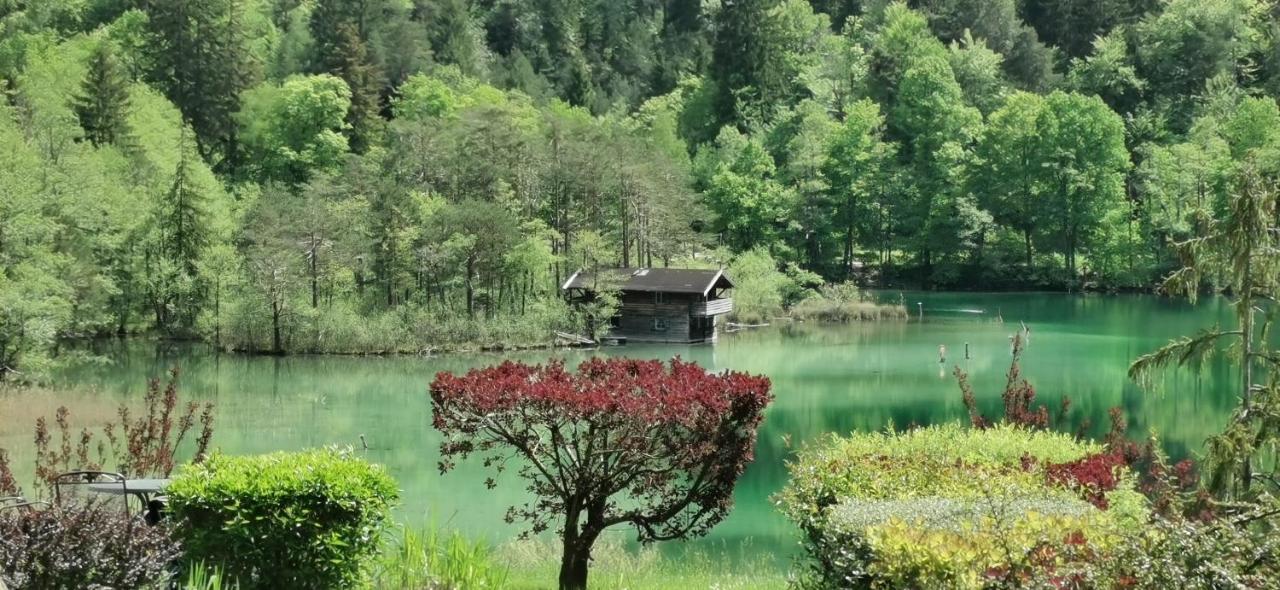 Villa Rosen - Ferienwohnungen 바트라이셴할 외부 사진